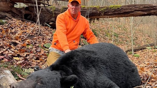 Pennsylvania rifle hunters get 1,000 bears including a 717 pounder