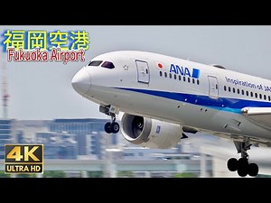 【4k大迫力premium飛行機映像】離陸しますし.着陸してきますよ.最後❗️そのタイミングで😊国内線国際線.ana.jal.Live.plane spotting.fukuokaJapan/vlog