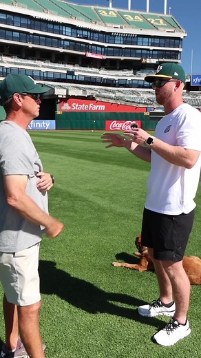 Understanding the Turf Technology at Oakland Athletics Stadium