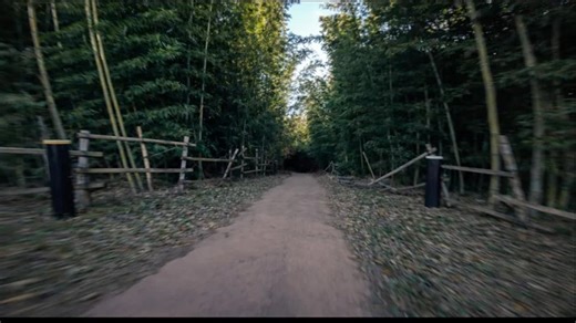 JOPRO# 黑暗竹林 //韩国穿越机速飞花飞