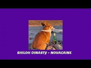 shiloh dinasty - novacaine(1 hours loop)