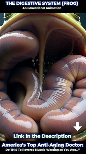 #BiologyEducation #ComparativeAnatomy #ScienceLab