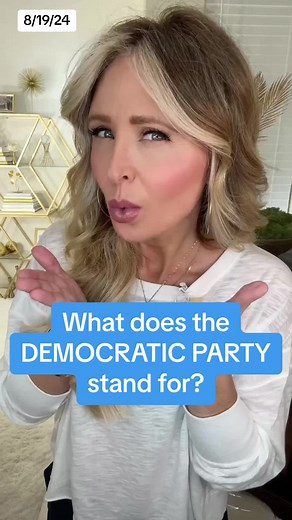2024 DNC Party Platform Explained
