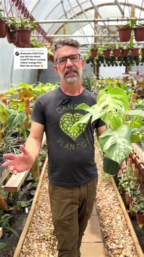 TikTok - Make Your Day