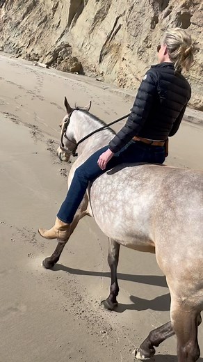 Portia de Rossi on Instagram