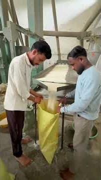 "Building Wooden Log Cabin in Forest 🌲🔥| Survival House Step by Step"🎉 #comedy #shorts