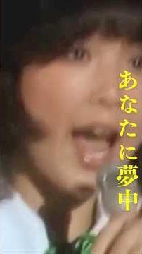あなたに夢中(1973)