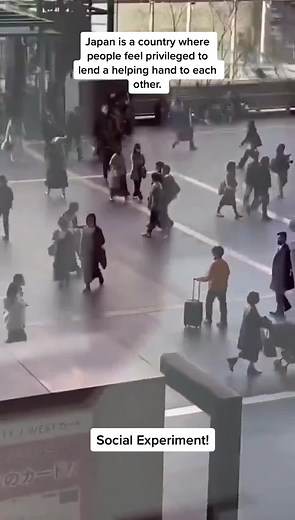 Kindness in Japan: Social Experiment