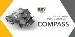 Sorting Fried Potato sticks with COMPASS Belt