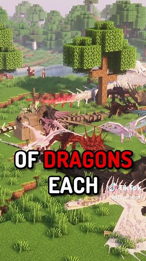 How to Train Your Dragon in Minecraft Gameplay