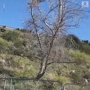 88K views · 841 reactions | Two overturned tractor trailers were spotted along the side of California's Interstate 210 after strong winds were reported in the area. https://abcn.ws/3q1pooU | ABC News | Facebook