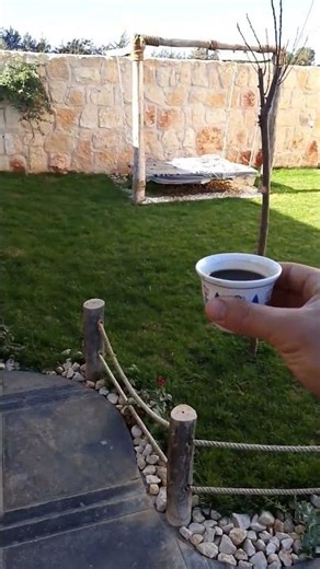 ياويلي عهالمنظر