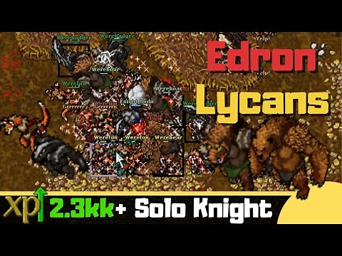 EK 150+ Edron Werecave [Where to Hunt Solo Knight]