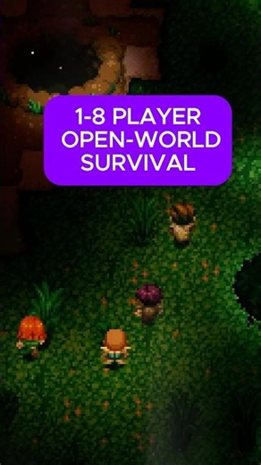 An Open-World Crafting Game for up to 8 Players