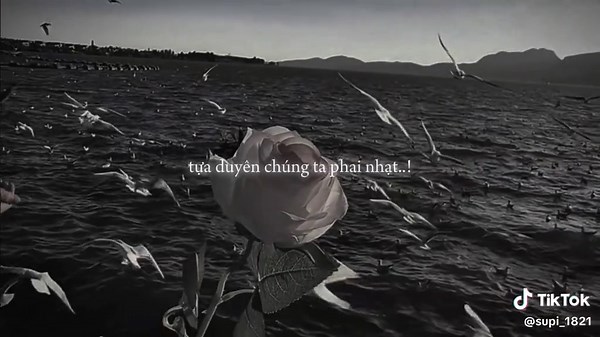 Nhạc buồn tâm trạng cho người nặng tương tư