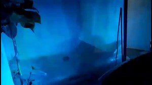 Led de pellizco RGB, cambio de colores, efecto estrobo y efecto patrulla. Led T10 RGB $300 par. DUDAS O PREGUNTAS POR INBOX PARA DARLE RAPIDEZ A USTEDES. | LEDXON-Products