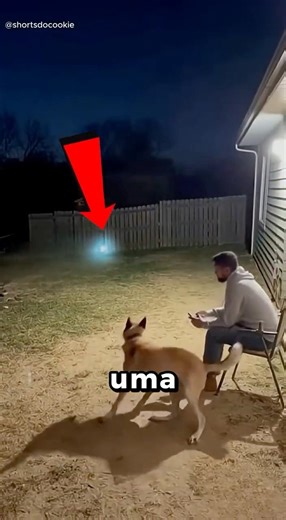 This scared the man and his dog 🐶