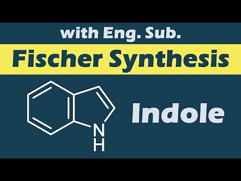 Fischer Indole Synthesis Reaction Mechanisms (with English sub)