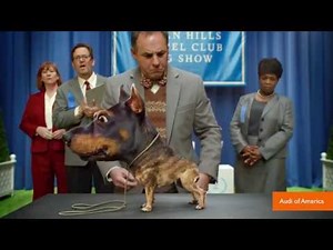 Audi Unveils 'Doberhuahua' Super Bowl Commercial