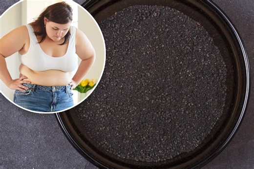Eating just 25 calories worth of this powder a day can help prevent obesity — and lower cholesterol