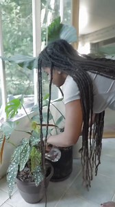 What you water grows 🌿 ROOTS FARM 📦 roots.farm/invite/ref?invite_code=3BTmagCt | ROOTS FARM