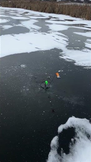 Постріл жерлиці