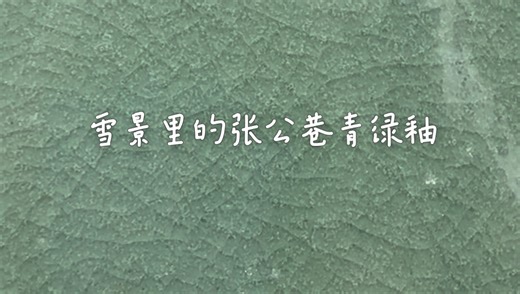 张公巷窑出土的瓷器以青釉瓷为唯一产品，其青绿釉（青釉泛绿）具有以下显著特点：1. 釉质与光泽玻璃质感极强，透明度高，釉色青绿莹润。#张公巷#收藏