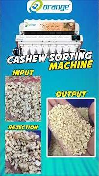 Cashew Sorting Machine Demo | Real Output, Real Accuracy – Orange Sorting