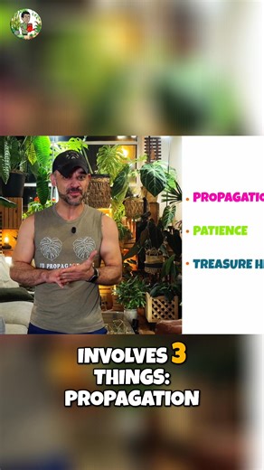 Most people overspend building an urban jungle. Try the smart collector method: propagation, patience, and treasure hunting for free finds. #UrbanJungle #PlantPropagation #IndoorPlants #VerticalGarden #Monstera | Kevin Torres