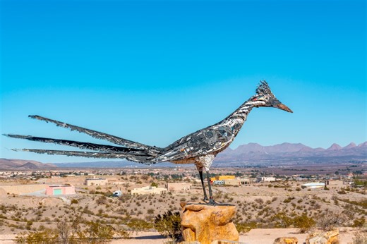 Breaking the mold with New Mexico Technology Council’s Mia Peterson