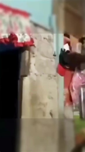 Top 10 Random Sounds You Should Hear