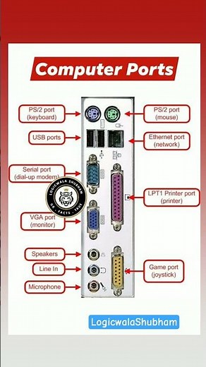 "The Ultimate Guide to Computer Ports and Their Functions"