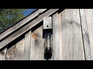 HOW TO: Homemade Carpenter Bee Trap