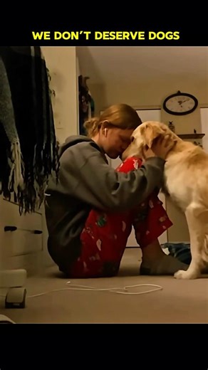 Dogs Feel Your Pain More Than You Think