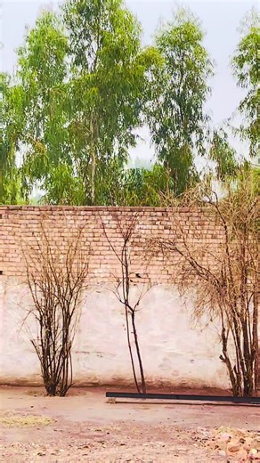 3D Wall Painting Ideas for Stunning Interior Design