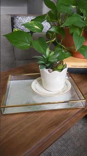 Try this DIY with a Dollar Tree tray #dollartree