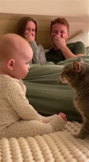 Angry Cat Inches From Baby… While Parents Laugh on the Bed 😳