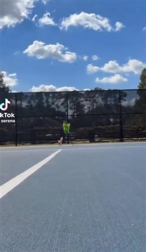 🇺🇸 Serena Williams returns to the practice court ahead of her comeback ⏳ “I have not done this since September 2023.” 🎥 Serena Williams/TikTok | The First Serve