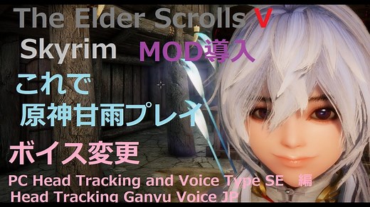 スカイリム ボイス変更MOD導入 パート② PC Head Tracking and Voice Type SE編 » スカイリム情報局