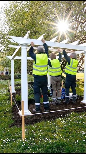 Turning a Simple Garden into a Dreamy Flower Paradise Timelapse