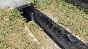 91K views · 1.1K reactions | Tragedy on San Andres Street: Son...