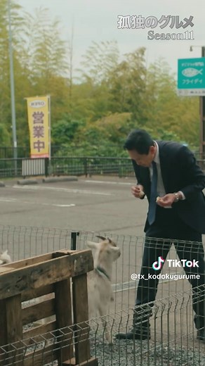 孤独のグルメ Season11｜第11話予告と見逃し配信情報