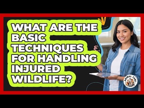 What Are The Basic Techniques For Handling Injured Wildlife? - Animal Care Jobs