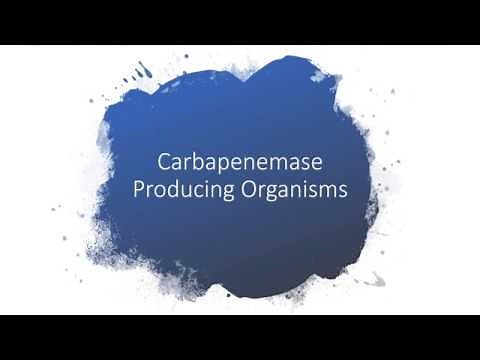 Carbapenemase Producing Organisms[Worldwide Problem]