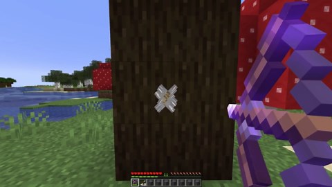47 Minecraft Item Facts You Possibly Didn't Know
