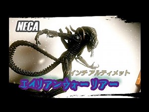 【NECA】7インチ アルティメット エイリアンウォーリアーレビュー動画‼️