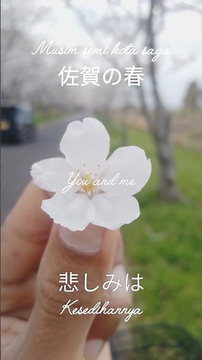 itsumo nando demo いつも なんど でも