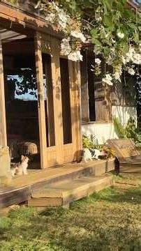 ¿Pausa o cambio de ritmo? 🌿✨