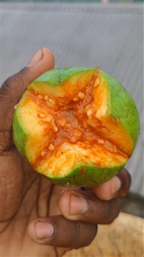 Spicy [Guava] {Makha} 🤤|| Guava {Masala} Recipe 🌶️||
