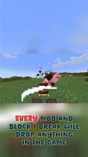 Minecraft but everydrop is random